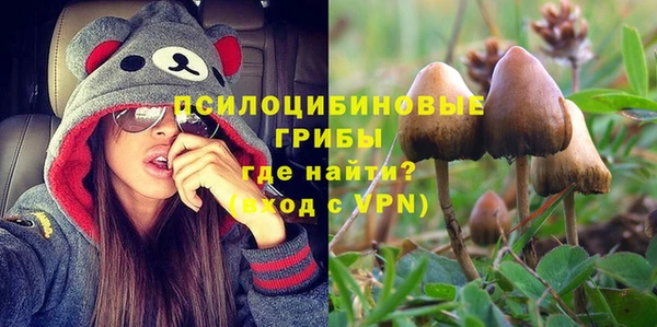 MDMA Нязепетровск