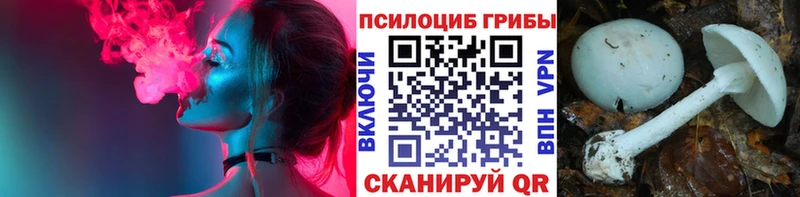 Галлюциногенные грибы MAGIC MUSHROOMS Купить закладки Ессентукская